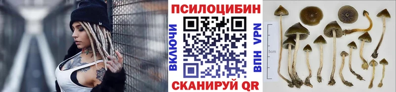 MEGA как войти  Лаишево  Галлюциногенные грибы мухоморы 