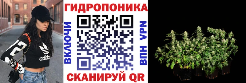 Бошки марихуана план  Лаишево 